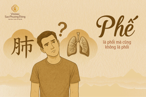 Phế trong Đông y - Là Phổi mà cũng chẳng là Phổi