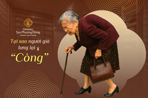 Tại sao người già lại "Còng" lưng